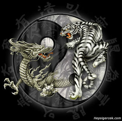 733 asian dragon and ying yang 1